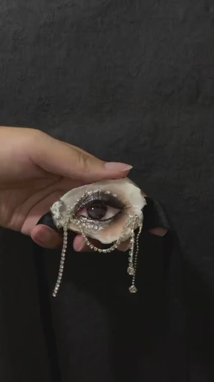 LV029 — official handheld oyster-eye video 2