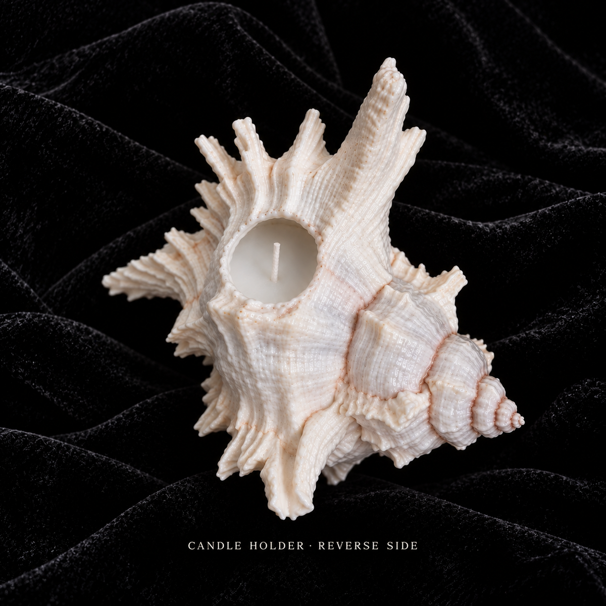 Shell Oracle standard candle-holder rear structure reference; actual shell varies